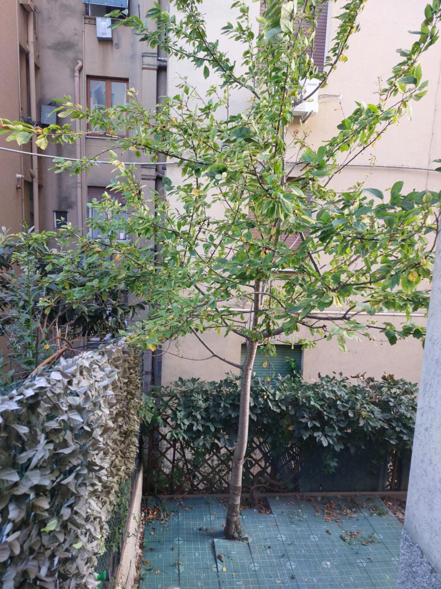 Il Ciliegio - Casa Vacanza Macerata Esterno foto